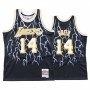 Danny Green Lakers Hardwood Classics Lightning Jersey For Cheap